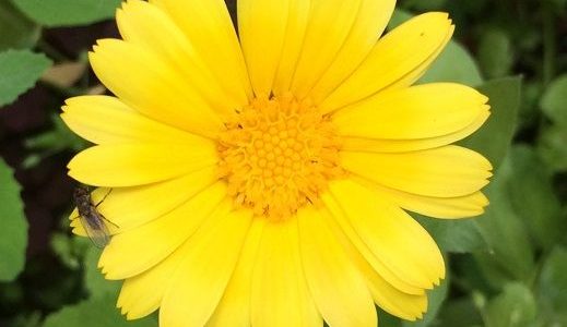 Чаще всего зависимые наркоманы и алкоголики – люди незрелые